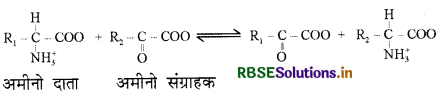 RBSE Class 11 Biology Important Questions Chapter 12 खनिज पोषण 3