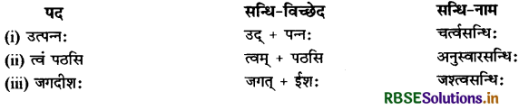 RBSE Class 11 Sanskrit व्याकरणम् सन्धिः 4