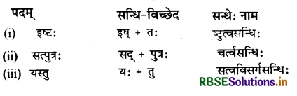 RBSE Class 11 Sanskrit व्याकरणम् सन्धिः 8