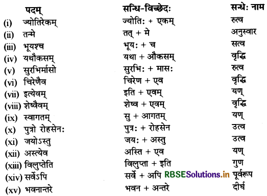 RBSE Class 11 Sanskrit व्याकरणम् सन्धिः 9