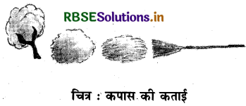 RBSE Solutions for Class 11 Home Science Chapter 5 कपड़े - हमारे आस-पास Important Questions 2