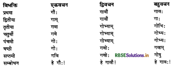RBSE Class 11 Sanskrit व्याकरणम् शब्द-रूप 10