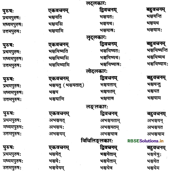 RBSE Class 11 Sanskrit व्याकरणम् धातु-रूप 11