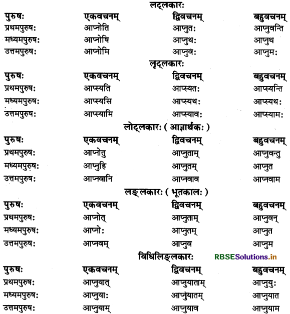 RBSE Class 11 Sanskrit व्याकरणम् धातु-रूप 12