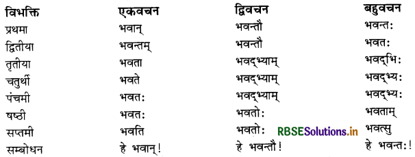 RBSE Class 11 Sanskrit व्याकरणम् शब्द-रूप 13