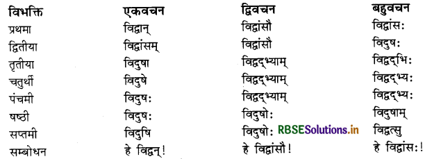 RBSE Class 11 Sanskrit व्याकरणम् शब्द-रूप 15