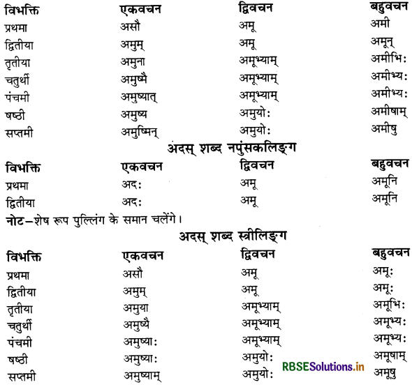 RBSE Class 11 Sanskrit व्याकरणम् शब्द-रूप 16