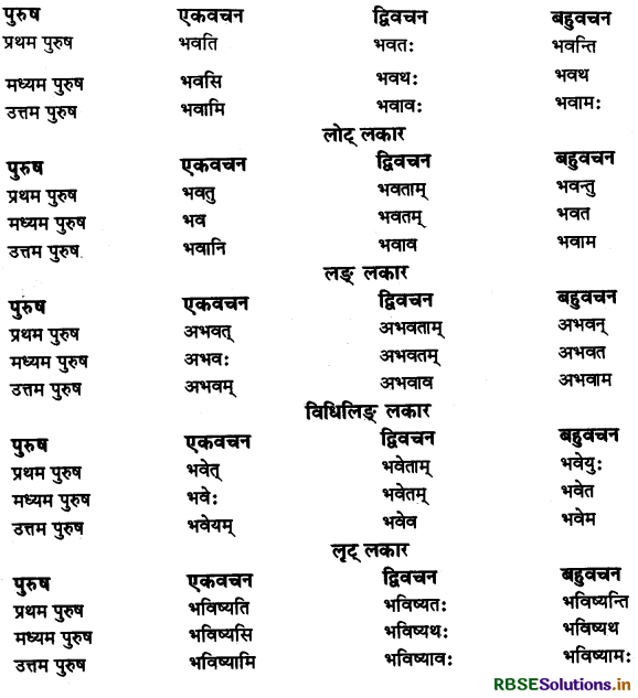 RBSE Class 11 Sanskrit व्याकरणम् धातु-रूप 1