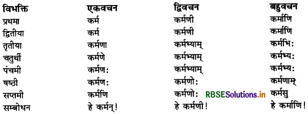 RBSE Class 11 Sanskrit व्याकरणम् शब्द-रूप 25