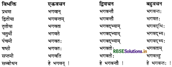 RBSE Class 11 Sanskrit व्याकरणम् शब्द-रूप 32