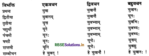 RBSE Class 11 Sanskrit व्याकरणम् शब्द-रूप 35