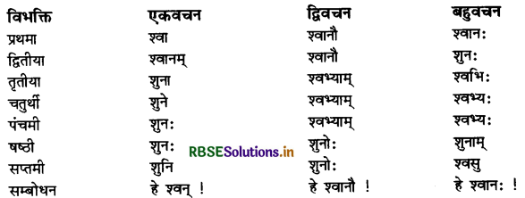 RBSE Class 11 Sanskrit व्याकरणम् शब्द-रूप 36