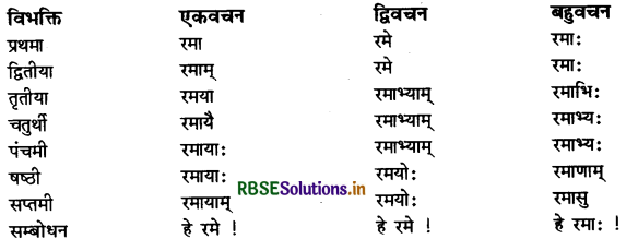 RBSE Class 11 Sanskrit व्याकरणम् शब्द-रूप 37