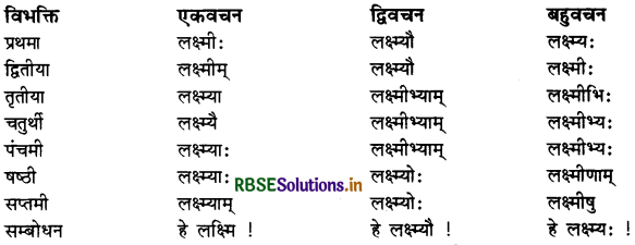 RBSE Class 11 Sanskrit व्याकरणम् शब्द-रूप 40