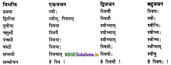 RBSE Class 11 Sanskrit व्याकरणम् शब्द-रूप 41