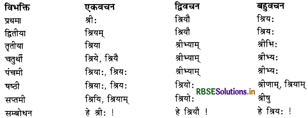RBSE Class 11 Sanskrit व्याकरणम् शब्द-रूप 42