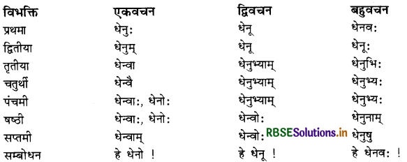 RBSE Class 11 Sanskrit व्याकरणम् शब्द-रूप 43