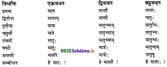 RBSE Class 11 Sanskrit व्याकरणम् शब्द-रूप 44