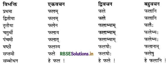 RBSE Class 11 Sanskrit व्याकरणम् शब्द-रूप 46