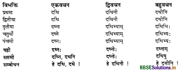 RBSE Class 11 Sanskrit व्याकरणम् शब्द-रूप 49