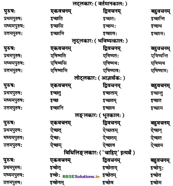 RBSE Class 11 Sanskrit व्याकरणम् धातु-रूप 4