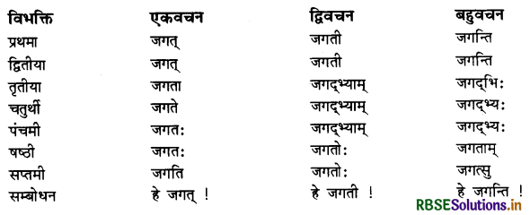 RBSE Class 11 Sanskrit व्याकरणम् शब्द-रूप 52