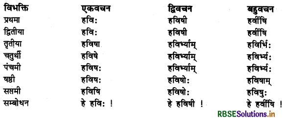 RBSE Class 11 Sanskrit व्याकरणम् शब्द-रूप 54
