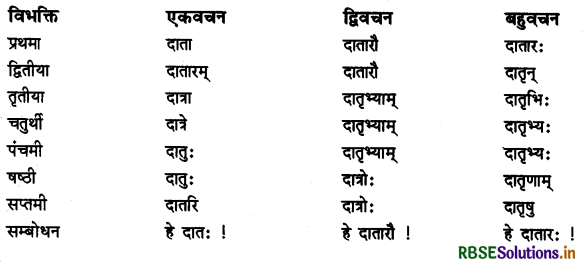 RBSE Class 11 Sanskrit व्याकरणम् शब्द-रूप 55