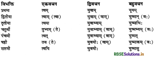RBSE Class 11 Sanskrit व्याकरणम् शब्द-रूप 59