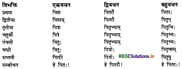 RBSE Class 11 Sanskrit व्याकरणम् शब्द-रूप 7