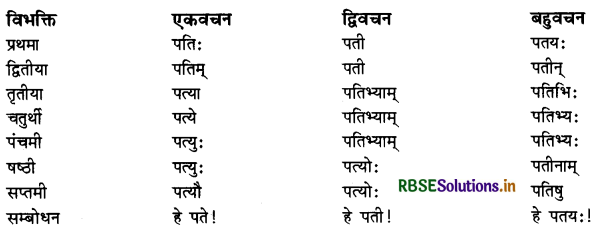 RBSE Class 11 Sanskrit व्याकरणम् शब्द-रूप 8