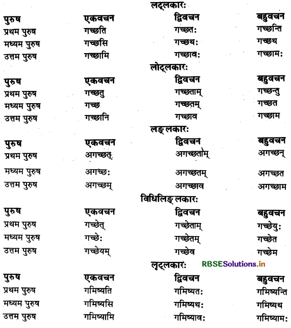 RBSE Class 11 Sanskrit व्याकरणम् धातु-रूप 8