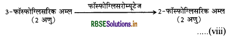 RBSE Class 11 Biology Important Questions Chapter 14 पादप में श्वसन 10