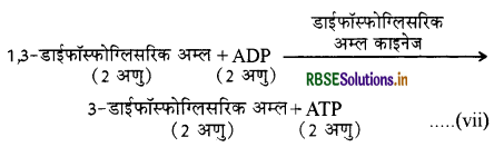 RBSE Class 11 Biology Important Questions Chapter 14 पादप में श्वसन 9