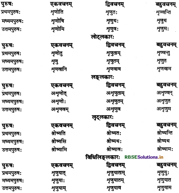 RBSE Class 11 Sanskrit व्याकरणम् धातु-रूप 13