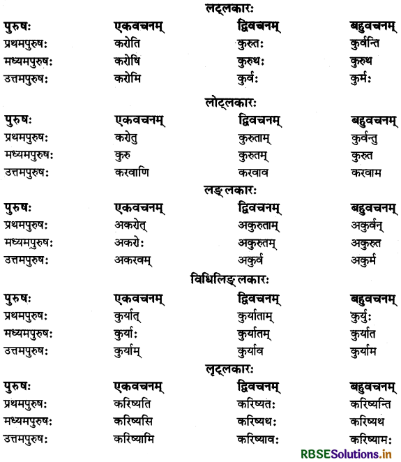 RBSE Class 11 Sanskrit व्याकरणम् धातु-रूप 16