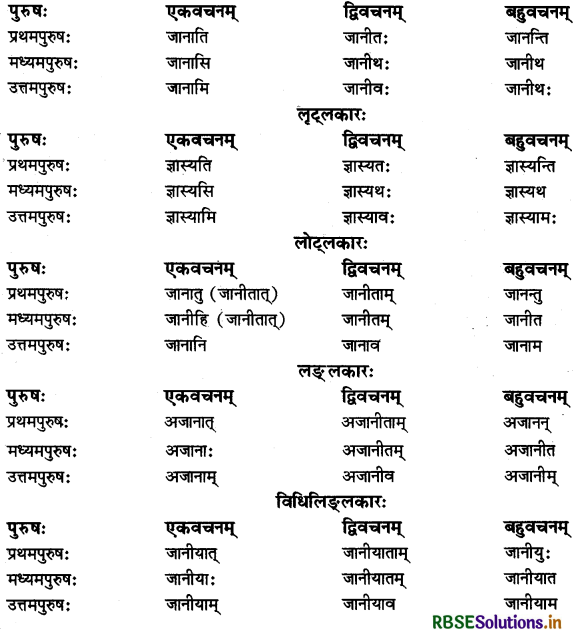 RBSE Class 11 Sanskrit व्याकरणम् धातु-रूप 17