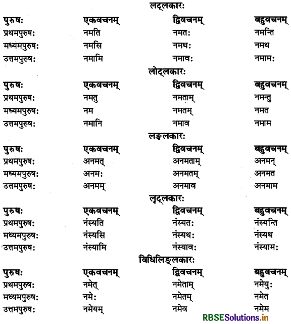 RBSE Class 11 Sanskrit व्याकरणम् धातु-रूप 18