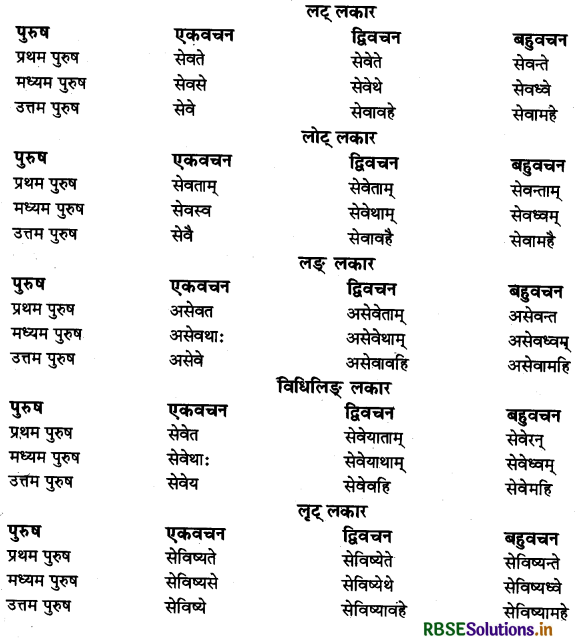RBSE Class 11 Sanskrit व्याकरणम् धातु-रूप 21