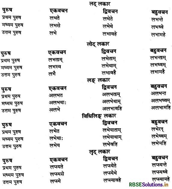 RBSE Class 11 Sanskrit व्याकरणम् धातु-रूप 22