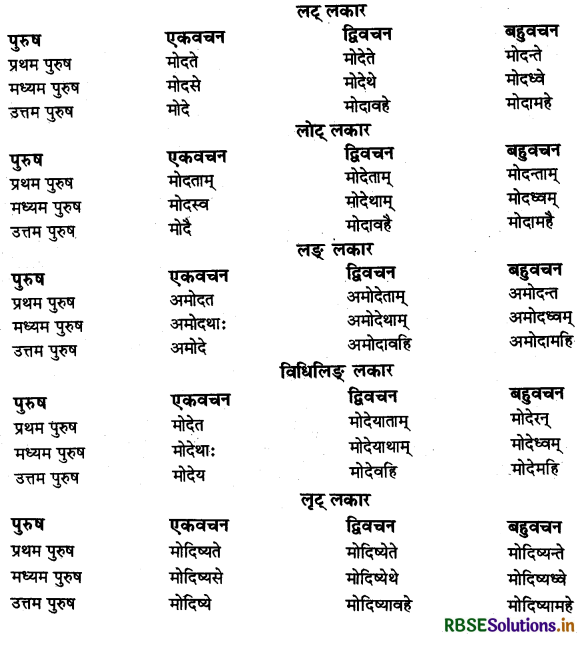 RBSE Class 11 Sanskrit व्याकरणम् धातु-रूप 23