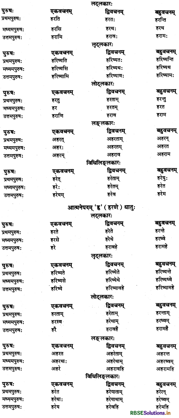 RBSE Class 11 Sanskrit व्याकरणम् धातु-रूप 27