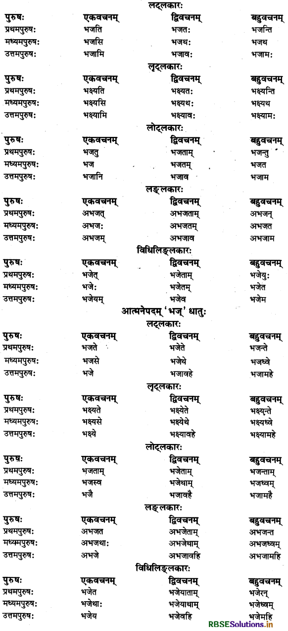 RBSE Class 11 Sanskrit व्याकरणम् धातु-रूप 28
