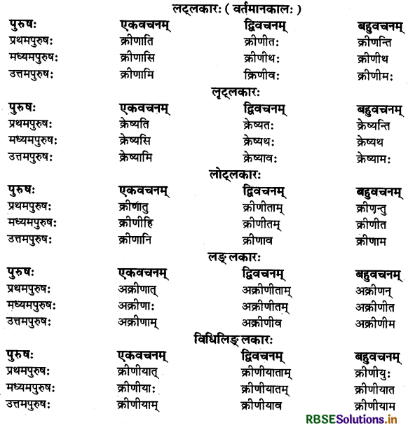 RBSE Class 11 Sanskrit व्याकरणम् धातु-रूप 32