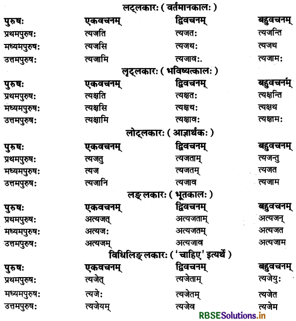 RBSE Class 11 Sanskrit व्याकरणम् धातु-रूप 34