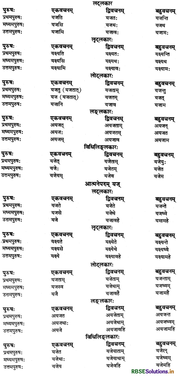 RBSE Class 11 Sanskrit व्याकरणम् धातु-रूप 41