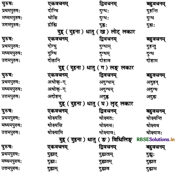 RBSE Class 11 Sanskrit व्याकरणम् धातु-रूप 46