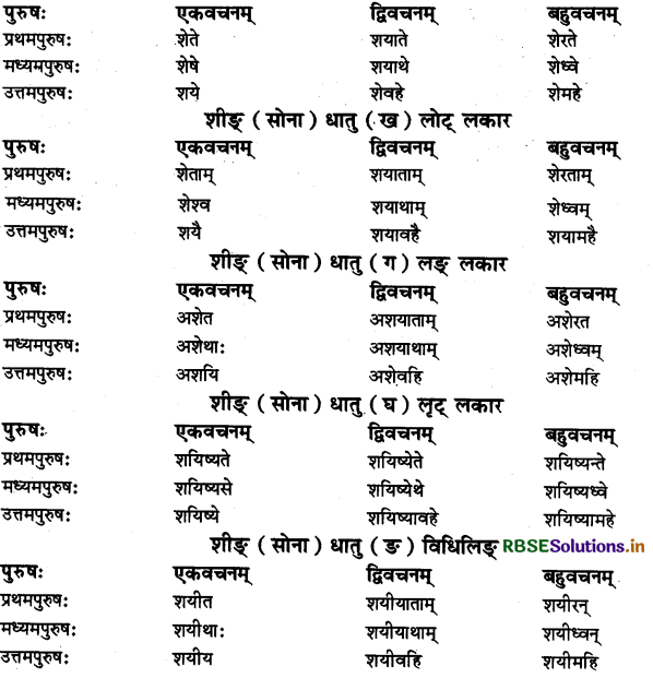 RBSE Class 11 Sanskrit व्याकरणम् धातु-रूप 47