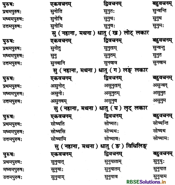 RBSE Class 11 Sanskrit व्याकरणम् धातु-रूप 51