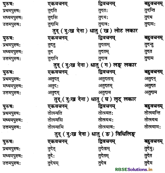 RBSE Class 11 Sanskrit व्याकरणम् धातु-रूप 52